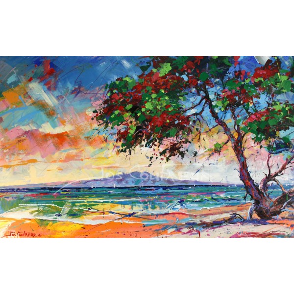 Rangitoto II